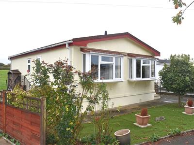 Picture 26